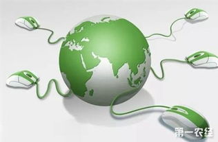 關注這十大農業戰略，讓農民朋友的錢包鼓起來