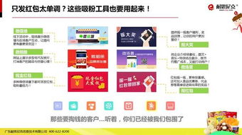 互聯網食品營銷解決方案 從策略到執行的全面指南